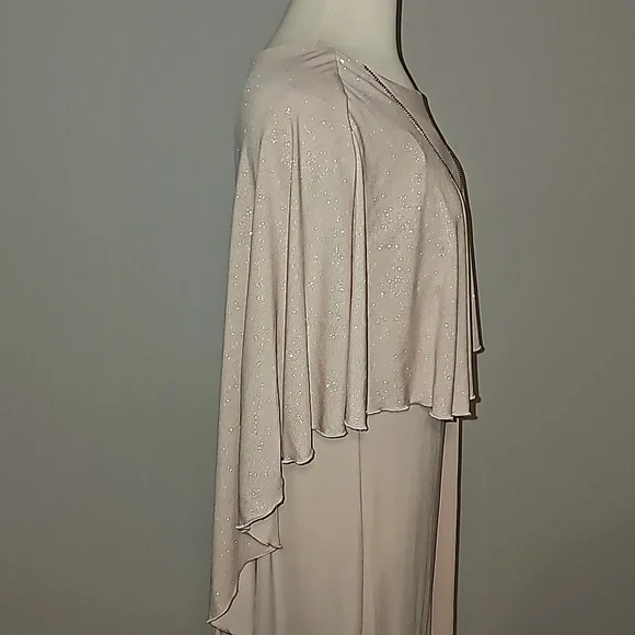 EN FOCUS Studio woman Sparkly Nude + Gold Sheer Tank Dress 16W NWT - Picture 9 of 14